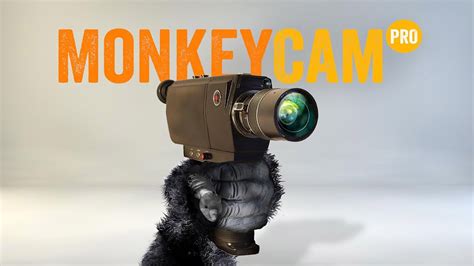MonkeyCAM v4. . Monkey cam after effects